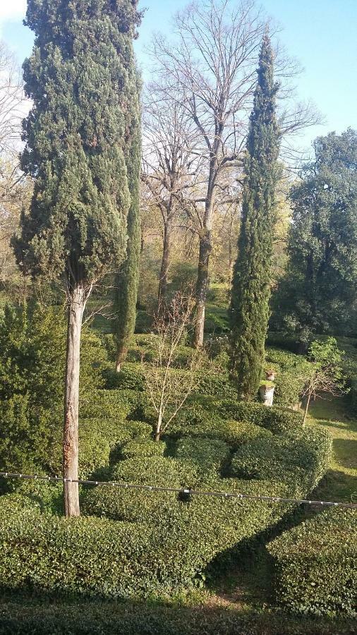 Apartamento L'albero Di Garibaldi Florença